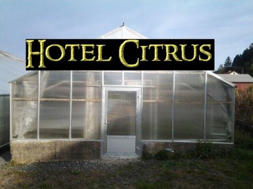 Hotell Citrus Entré